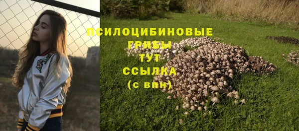 марки nbome Бородино
