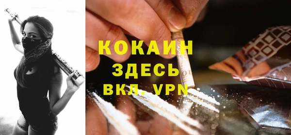 ешки Бронницы