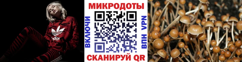Галлюциногенные грибы Magic Shrooms  гидра   Озёрск 